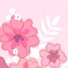 hirachaudhary801