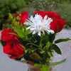 anna608656