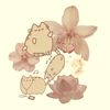 colette6440