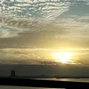 luong.nguyen548