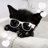 fareedahhh_1