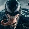 venom36568