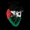 user82470181861693