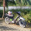 racingg.chicken