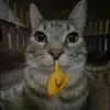 masscarado_69
