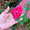 user47209060316183