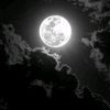 no_name07272233