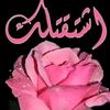 ahmed.mody5198