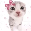 martinini_labanini123