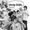 straykidsarecuties