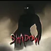 hp_shadow_2006