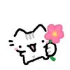 nahidwin._3