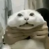 part_xd5