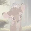 licep_pvd