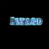 lizaredit
