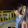 ashdresbin6