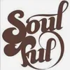 soulfulfool3