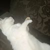 yoursname123