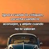 catracha6347