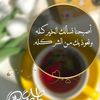 user8.140466184018