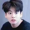 lusi.plara