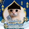 afifrabbani3