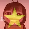 piapiapia66