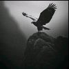 __ansar_1_