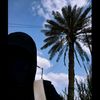 gehanmohammed52