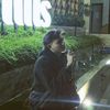 dilan__1998