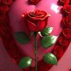 user6157192826817