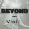 Beyondthe.veil