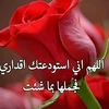 wafaawaleed85