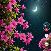 user.shila.akhtar
