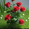 14aung3