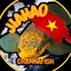 channa.phuc