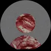 amina_6_0
