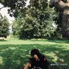 markojunior06