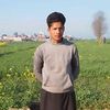 zahid.batth8