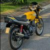 along_adam