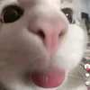 ming_mean