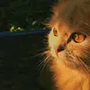 9kf_20