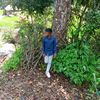 nimesh2012