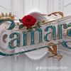 camara.na.mouche6