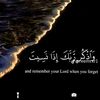 user2156281348417
