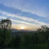 yaran_rebin