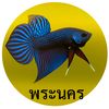 .ufo63