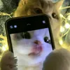 simpa_pusik