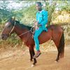 user70401481985348
