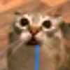 polina_68df